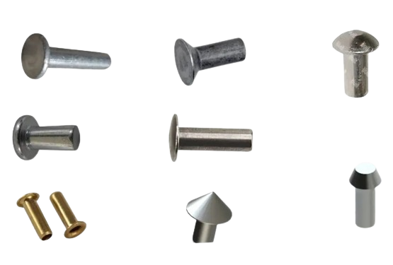 RIVET D